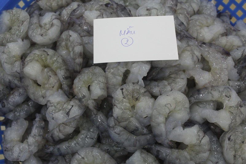 Mix phosphate MP-T15 for fillet fish 